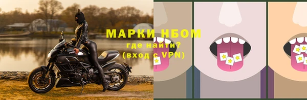 ГАЛЛЮЦИНОГЕННЫЕ ГРИБЫ Алзамай
