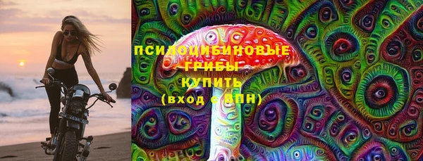 амф Алексин