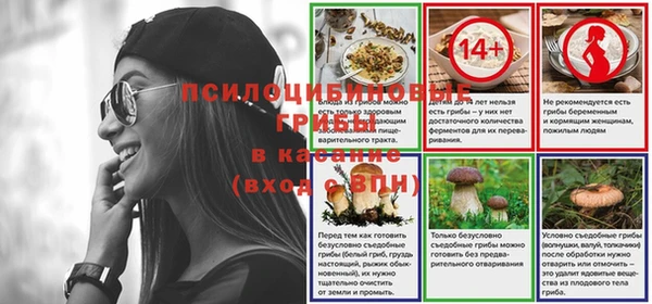 ГАЛЛЮЦИНОГЕННЫЕ ГРИБЫ Алзамай