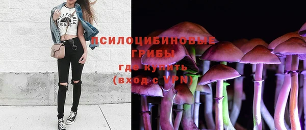 ГАЛЛЮЦИНОГЕННЫЕ ГРИБЫ Алзамай