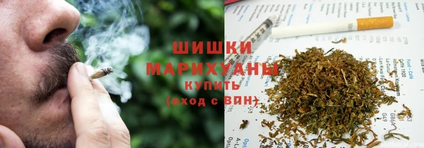 ГАЛЛЮЦИНОГЕННЫЕ ГРИБЫ Алзамай